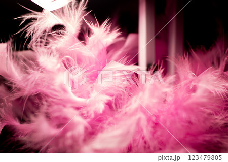 Closeup of delicate pink feathers on a black background 123479805