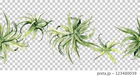 Watercolor aloe vera seamless border 123480039
