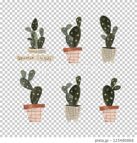 Set of cute cactuses in a pots. Home plant hand drawn illustration watercolor pencil mixed media. Isolated on white background  123480868
