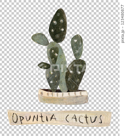 Cute cactus in a pot. Home plant hand drawn illustration watercolor pencil mixed media. Isolated on white background  123480877