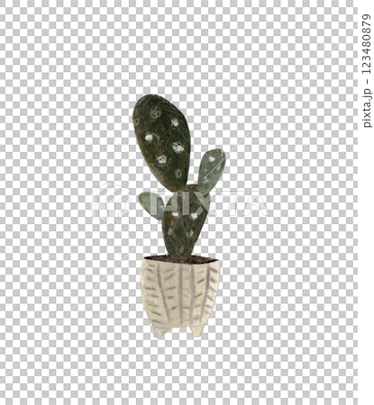 Cute cactus in a pot. Home plant hand drawn illustration watercolor pencil mixed media. Isolated on white background Cute cactus in a pot. Home plant hand drawn illustration watercolor pencil mixed media. Isolated on white background 123480879