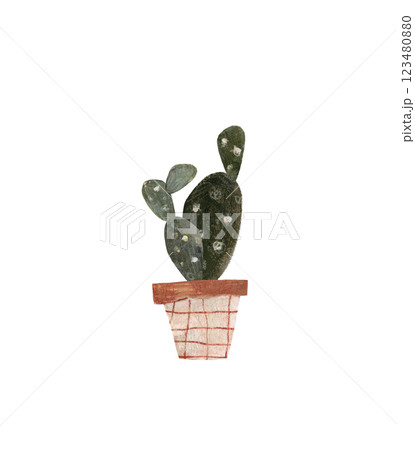 Cute cactus in a pot. Home plant hand drawn illustration watercolor pencil mixed media. Isolated on white background Cute cactus in a pot. Home plant hand drawn illustration watercolor pencil mixed media. Isolated on white background 123480880