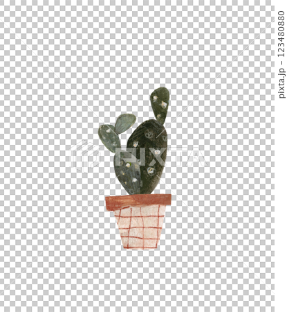 Cute cactus in a pot. Home plant hand drawn illustration watercolor pencil mixed media. Isolated on white background Cute cactus in a pot. Home plant hand drawn illustration watercolor pencil mixed media. Isolated on white background 123480880