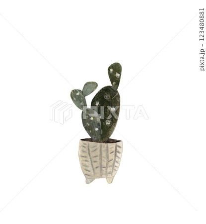 Cute cactus in a pot. Home plant hand drawn illustration watercolor pencil mixed media. Isolated on white background  123480881
