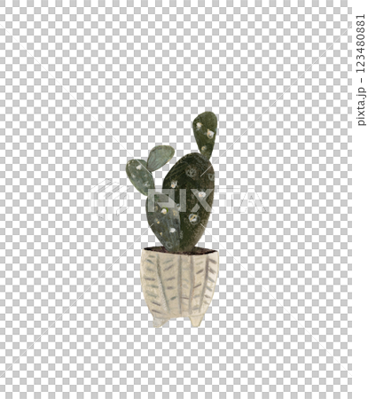 Cute cactus in a pot. Home plant hand drawn illustration watercolor pencil mixed media. Isolated on white background  123480881