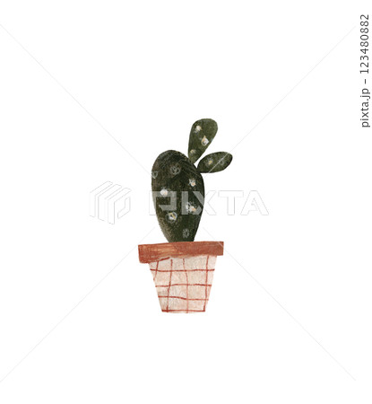 Cute cactus in a pot. Home plant hand drawn illustration watercolor pencil mixed media. Isolated on white background Cute cactus in a pot. Home plant hand drawn illustration watercolor pencil mixed media. Isolated on white background 123480882