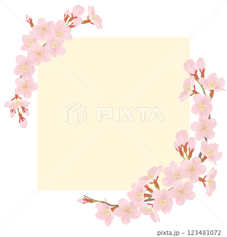 桜の花びらフレーム 123481072