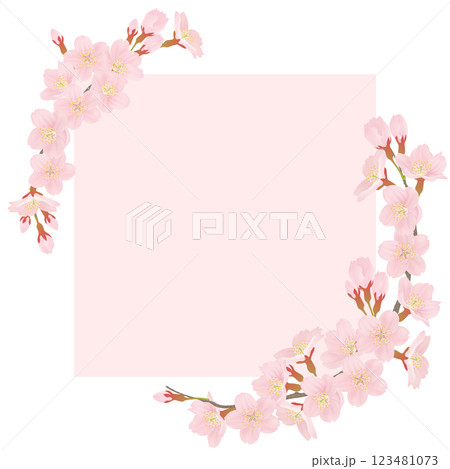 桜の花びらフレーム 123481073