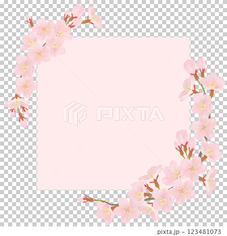 Cherry blossom petal frame Cherry blossom petal frame 123481073