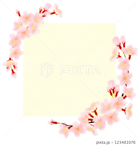 桜の花びらフレーム 123481076