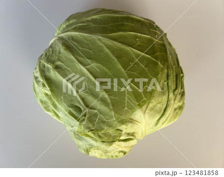 大きく育ったキャベツ 大きく育ったキャベツ 123481858