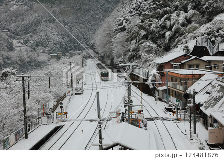 積雪の大歩危駅　特急列車 123481876