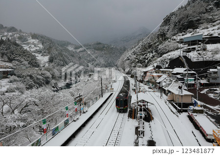 積雪の大歩危駅　特急列車 123481877