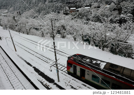 積雪の大歩危駅　特急列車 123481881