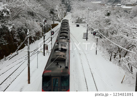 積雪の大歩危駅 特急列車 積雪の大歩危駅 特急列車 123481891