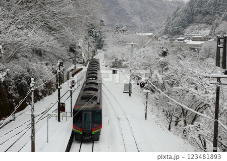 積雪の大歩危駅　特急列車 123481893