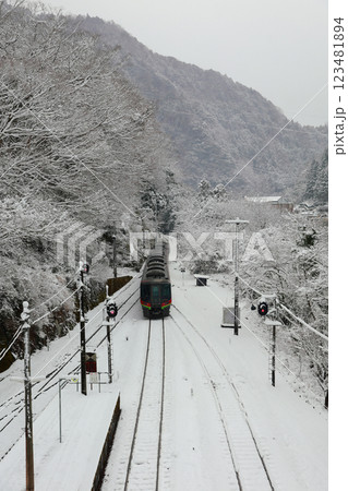 積雪の大歩危駅　特急列車 123481894