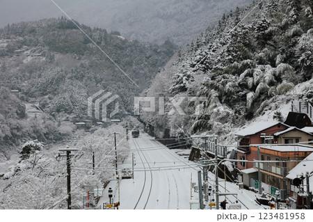 雪景色の祖谷 徳島の祖谷 雪景色の祖谷 徳島の祖谷 123481958