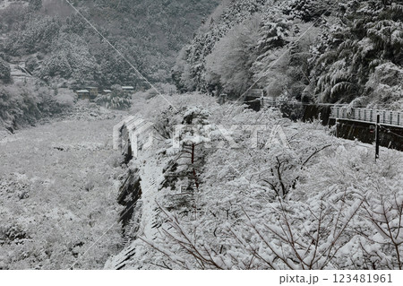 雪景色の祖谷　徳島の祖谷 123481961