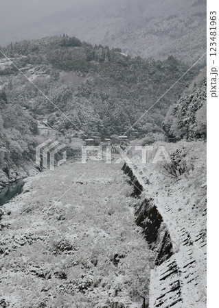 雪景色の祖谷 徳島の祖谷 雪景色の祖谷 徳島の祖谷 123481963