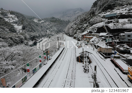 雪景色の祖谷　徳島の祖谷 123481967