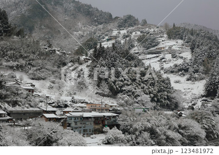 雪景色の祖谷 徳島の祖谷 雪景色の祖谷 徳島の祖谷 123481972