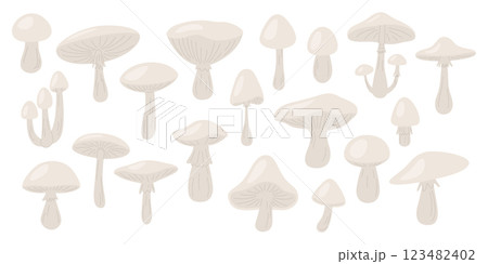 Flat Vector Mushroom Icon Set. Hand Drawn Mushroom Illustrations. Wild Mushroom Collection, Forest Mushroom Elements. Botanical Art, Culinary Designs, Nature Decor. Vector Illustration 123482402