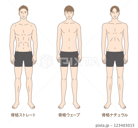 男性　骨格診断3タイプ　体型　骨格タイプの種類 123483015