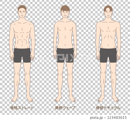 男性　骨格診断3タイプ　体型　骨格タイプの種類 123483015