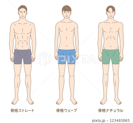 男性 骨格診断3タイプ 体型 骨格タイプの種類 男性 骨格診断3タイプ 体型 骨格タイプの種類 123483065