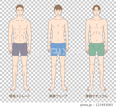 男性 骨格診断3タイプ 体型 骨格タイプの種類 男性 骨格診断3タイプ 体型 骨格タイプの種類 123483065