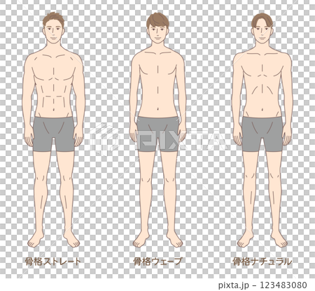 男性骨骼診斷3種類型 體型 骨骼類型 男性骨骼診斷3種類型 體型 骨骼類型 123483080