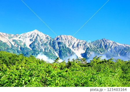 白馬三山と新緑 白馬三山と新緑 123483164