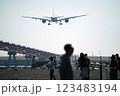 羽田に着陸態勢の旅客機 123483194