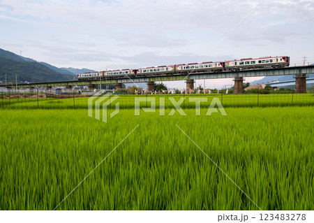 【土讃線】案山子が見送る特急南風号 123483278