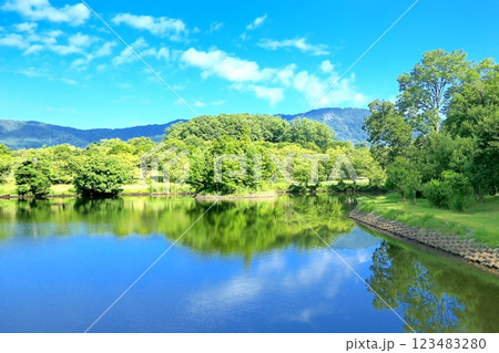 夏の飯山・針湖池 123483280