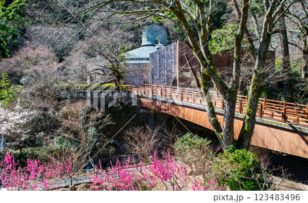 静岡県熱海市 熱海梅園 梅園橋(うめぞのばし)と澤田政廣記念美術館 早咲きの梅 静岡県熱海市 熱海梅園 梅園橋(うめぞのばし)と澤田政廣記念美術館 早咲きの梅 123483496