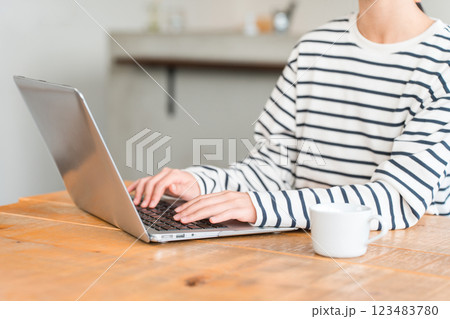 自宅のリビング・スタディコーナーでパソコンを使う小学生・中学生の女の子 自宅のリビング・スタディコーナーでパソコンを使う小学生・中学生の女の子 123483780