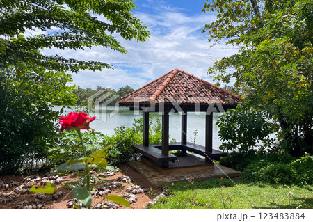 湖畔のガゼボと赤いバラの風景 123483884