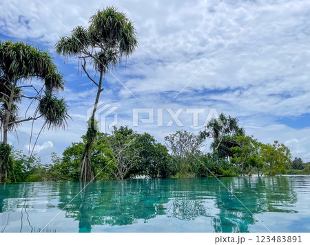 トロピカルなプールと青空のリフレクション 123483891