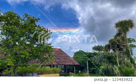 青空にかかる虹と南国の庭園 123483922
