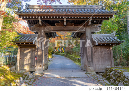 京都市左京区修学院 赤山禅院(せきざんぜんいん)延暦寺別院(方除けの神) 山門と紅葉 京都市左京区修学院 赤山禅院(せきざんぜんいん)延暦寺別院(方除けの神) 山門と紅葉 123484144