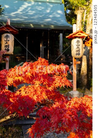 京都市左京区修学院 赤山禅院(せきざんぜんいん)延暦寺別院(方除けの神) 赤山大明神 紅葉 京都市左京区修学院 赤山禅院(せきざんぜんいん)延暦寺別院(方除けの神) 赤山大明神 紅葉 123484505