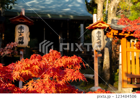 京都市左京区修学院 赤山禅院(せきざんぜんいん)延暦寺別院(方除けの神) 赤山大明神 紅葉 京都市左京区修学院 赤山禅院(せきざんぜんいん)延暦寺別院(方除けの神) 赤山大明神 紅葉 123484506