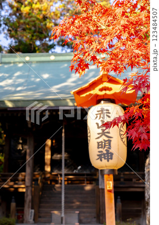 京都市左京区修学院　赤山禅院（せきざんぜんいん）延暦寺別院（方除けの神）　赤山大明神　紅葉 123484507