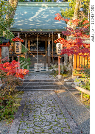 京都市左京区修学院 赤山禅院(せきざんぜんいん)延暦寺別院(方除けの神) 赤山大明神 紅葉 京都市左京区修学院 赤山禅院(せきざんぜんいん)延暦寺別院(方除けの神) 赤山大明神 紅葉 123484509
