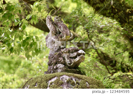 狛犬・太宰府天満宮（福岡県・太宰府市） 123484595