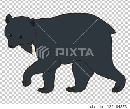 Illustration of a walking black bear 123484878