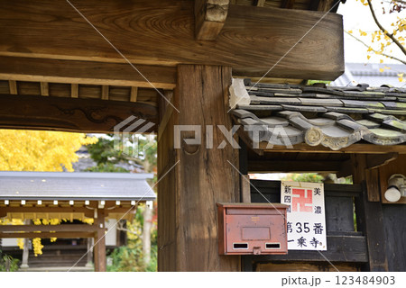 羽島一乗寺のイチョウ 羽島一乗寺のイチョウ 123484903