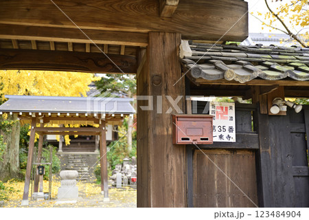 羽島一乗寺のイチョウ 123484904